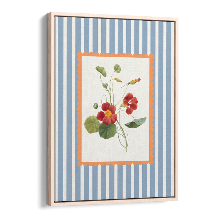 VINTAGE NASTURTIUM BLOOM