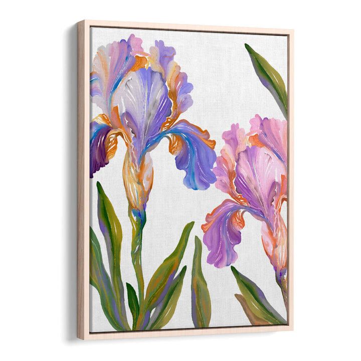 WATERCOLOR IRIS , FLORAL FLOWER PAINTINGS