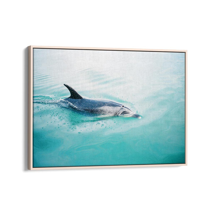 DOLPHIN N.Z. NORTHERN BY RAISA ZWART , LANDSCAPE PHOTO PRINTS