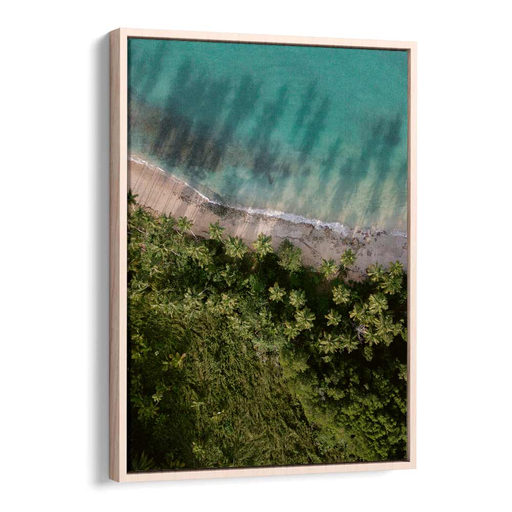 PALM BEACH FROM ABOVE  BY RAISA ZWART , LANDSCAPE PHOTO PRINTS