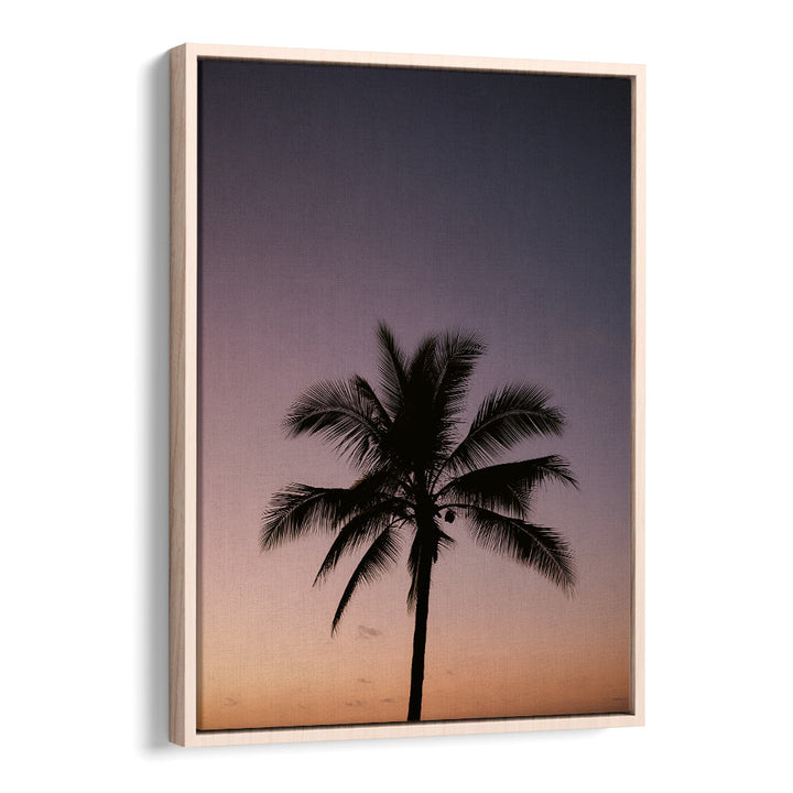 COSTA RICA PALM TREE BY RAISA ZWART , LANDSCAPE PHOTO PRINTS