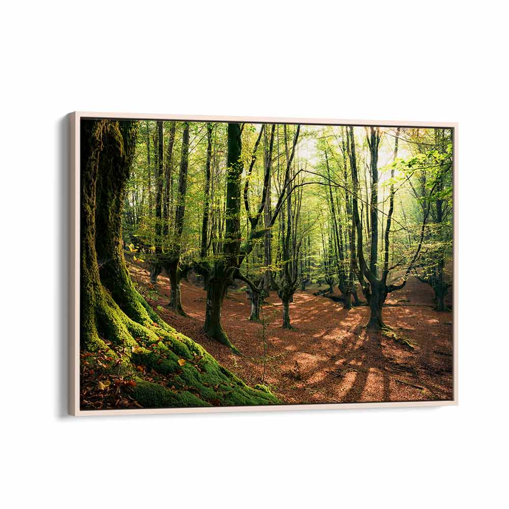 FOREST LOVE , LANDSCAPE PHOTO PRINTS