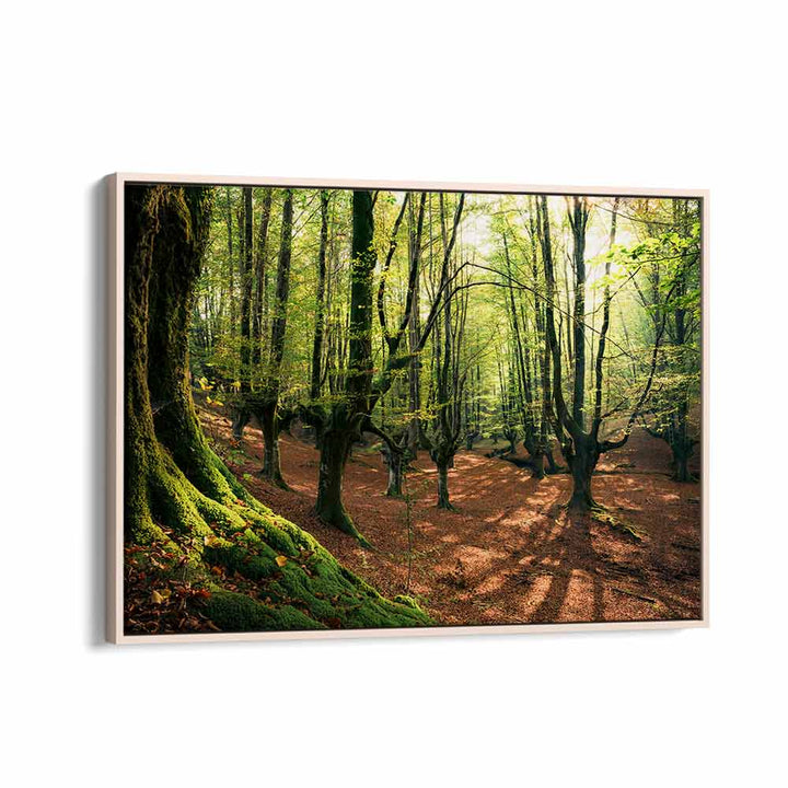 FOREST LOVE , LANDSCAPE PHOTO PRINTS