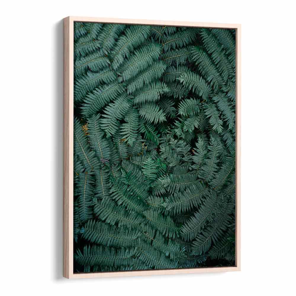 GREEN LEAVES , PHOTOGRAPHY PRINTS