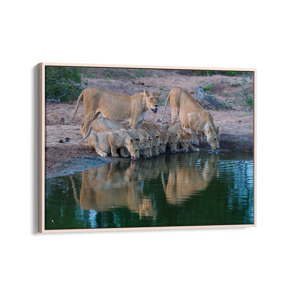 THE FAMILY II BY MARC PELISSIER , LANDSCAPE PHOTO PRINTS