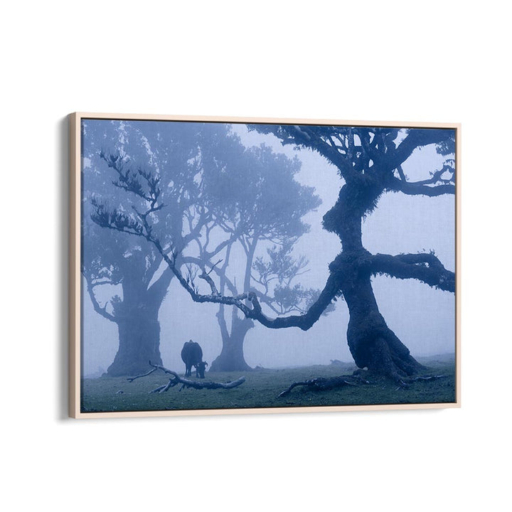 BLUE ENT , LANDSCAPE PHOTO PRINTS , LANDSCAPE PHOTOGRAPHY