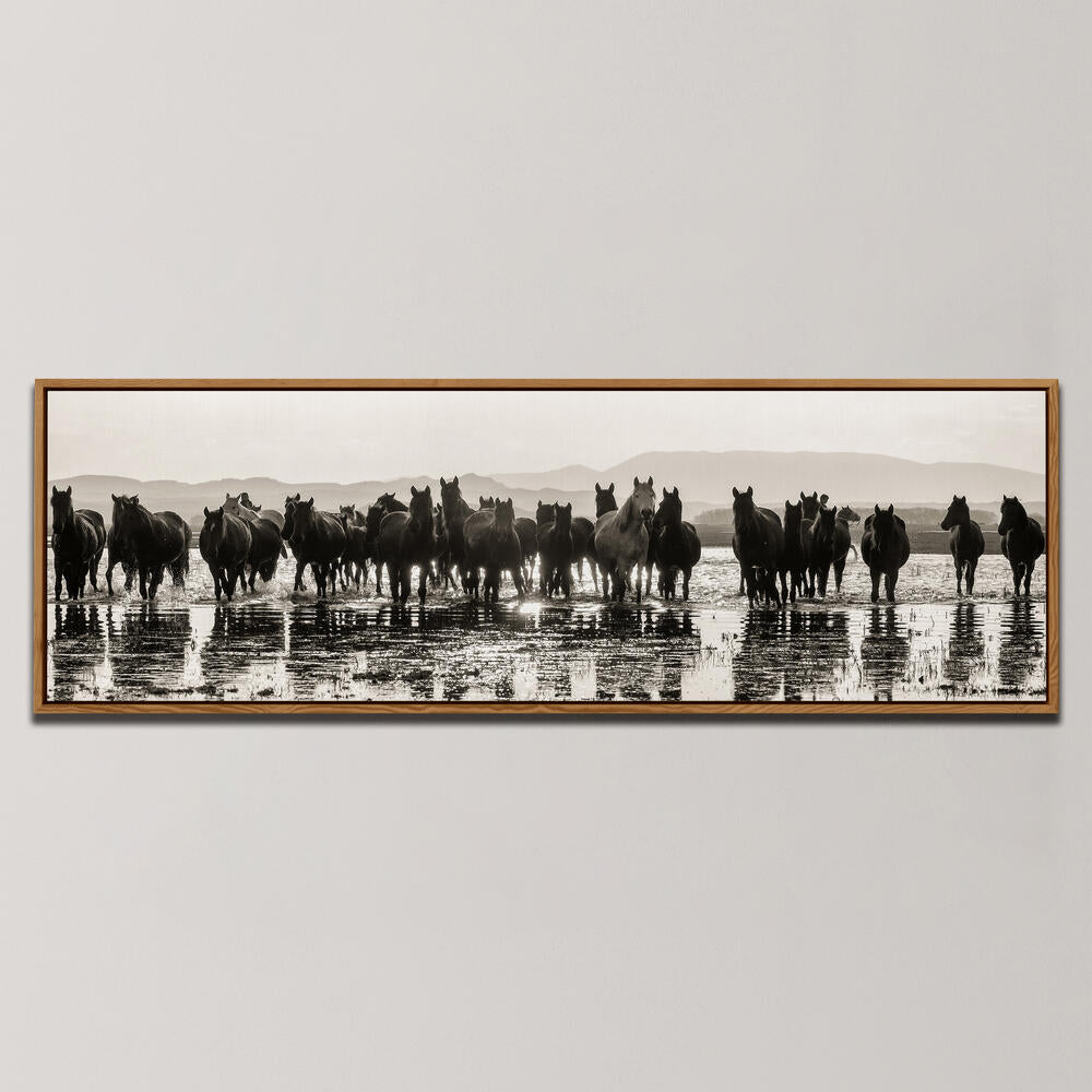 HORSES , PANORAMIC ART
