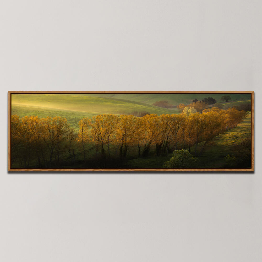 GOLDEN LINE , PANORAMIC ART