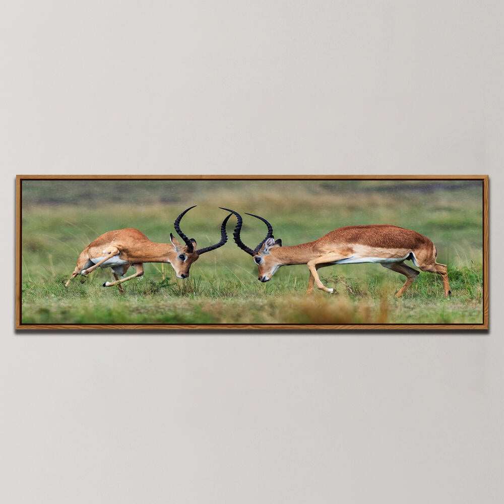 DANCING IN THE RAIN , PANORAMIC ART