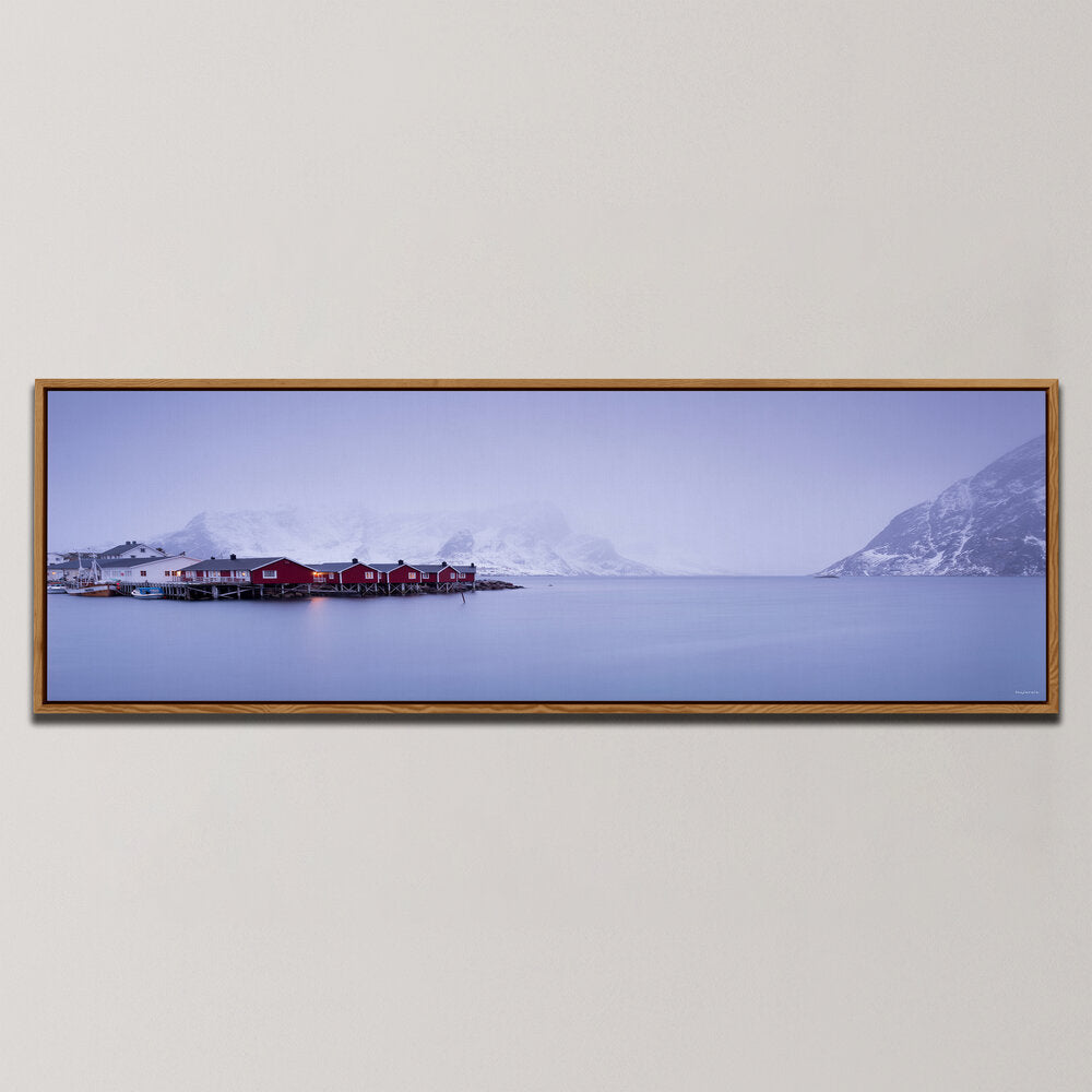 QUEEN OF THE NIGHT , PANORAMIC ART