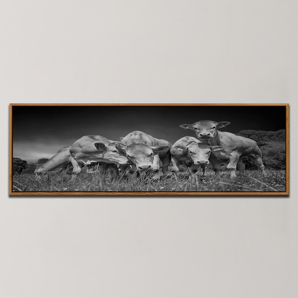 FUNNY COWS , PANORAMIC ART