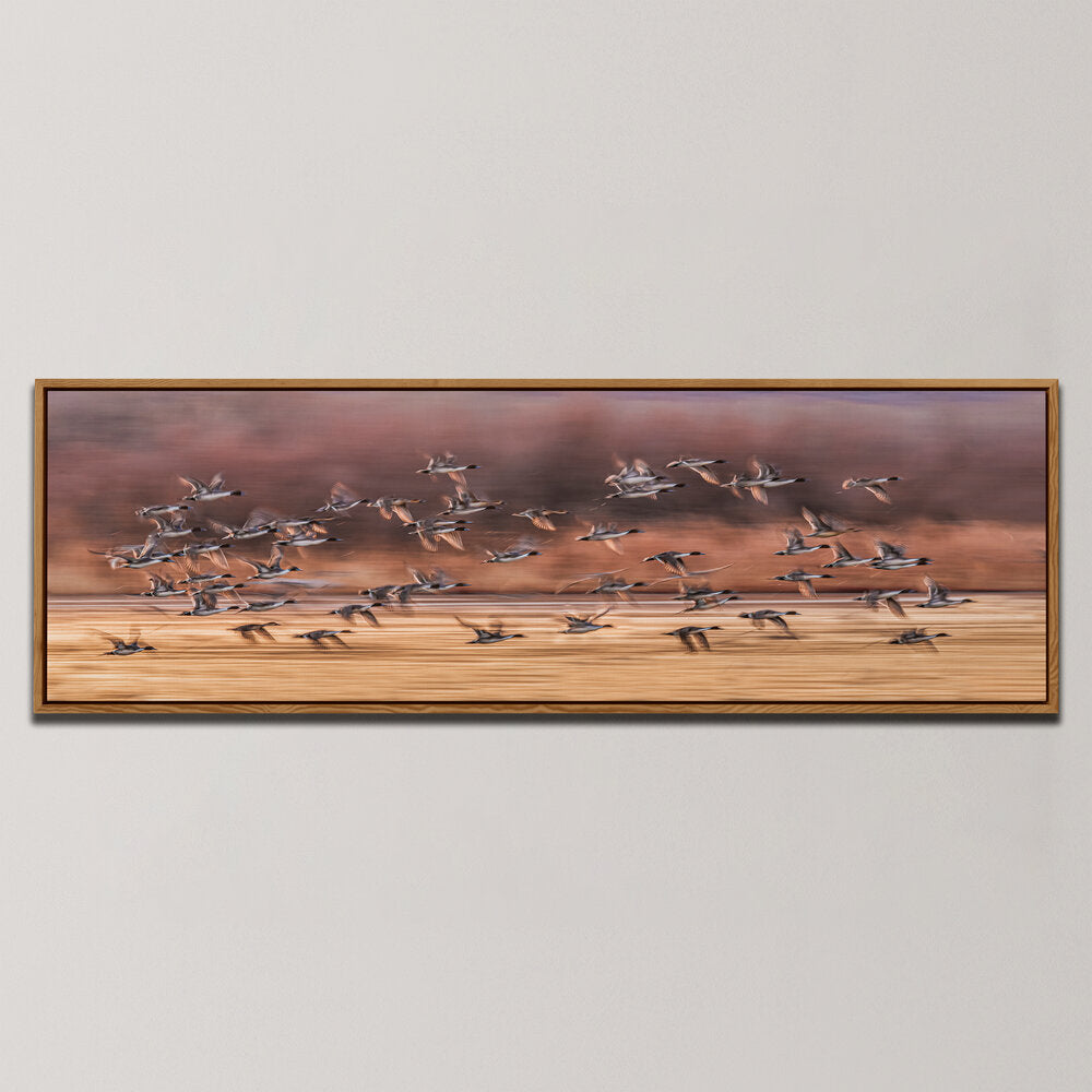 BIRDS TAKING OFF , PANORAMIC ART