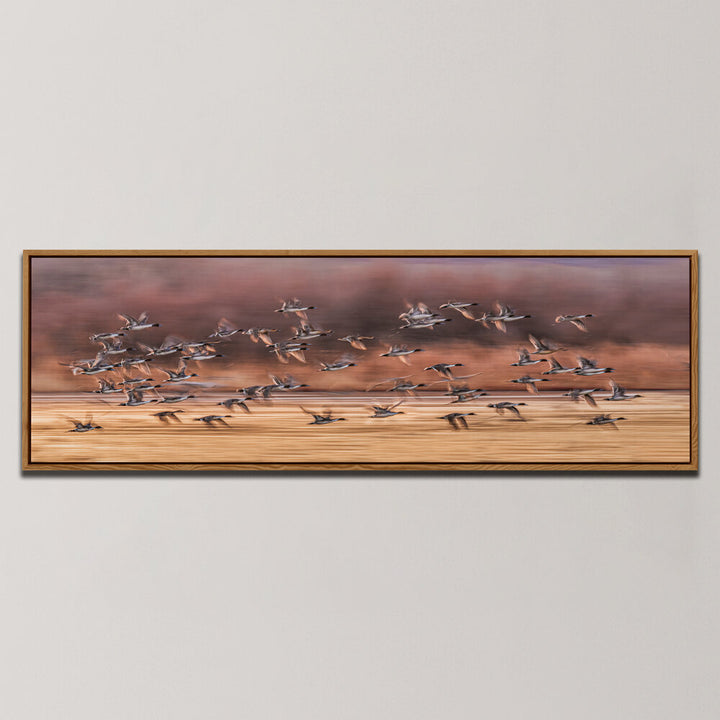 BIRDS TAKING OFF , PANORAMIC ART