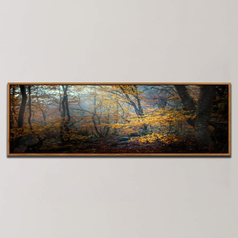 FOREST , PANORAMIC ART