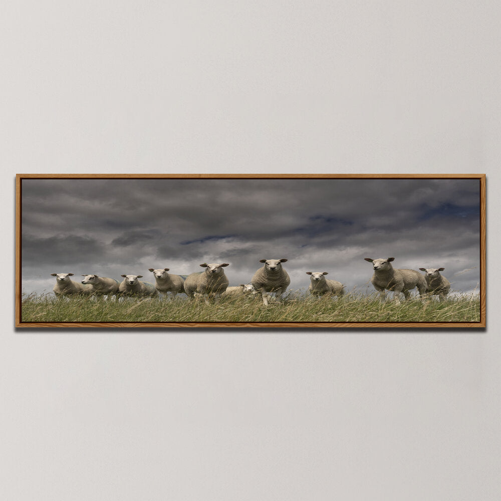 WE COME IN PEACE , PANORAMIC ART