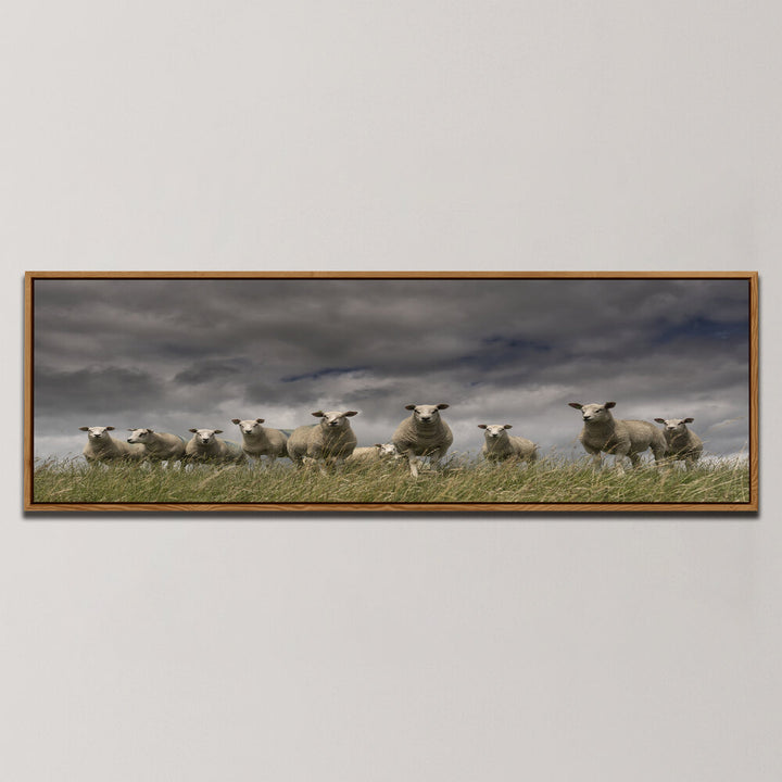 WE COME IN PEACE , PANORAMIC ART