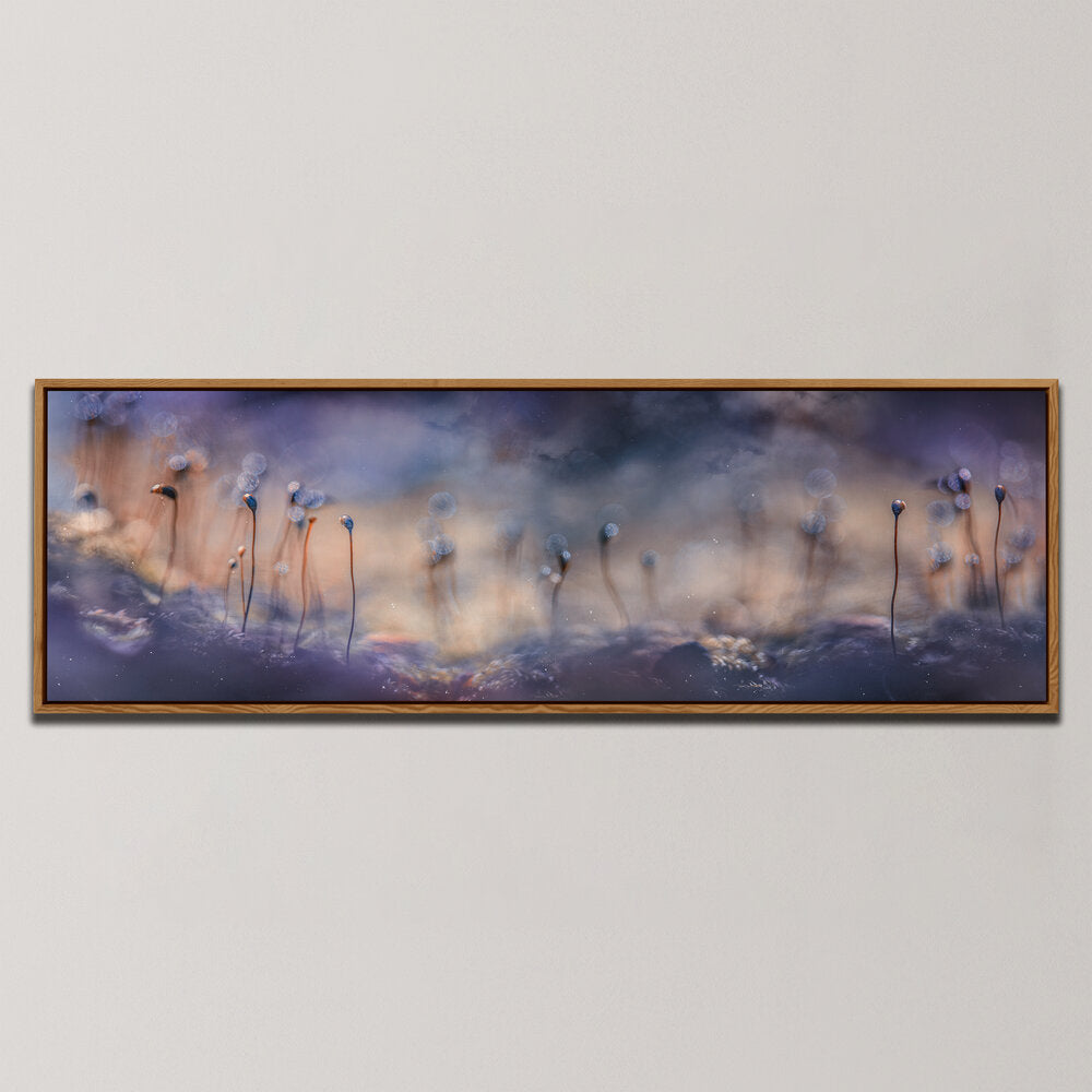 FOREST DREAMS , PANORAMIC ART