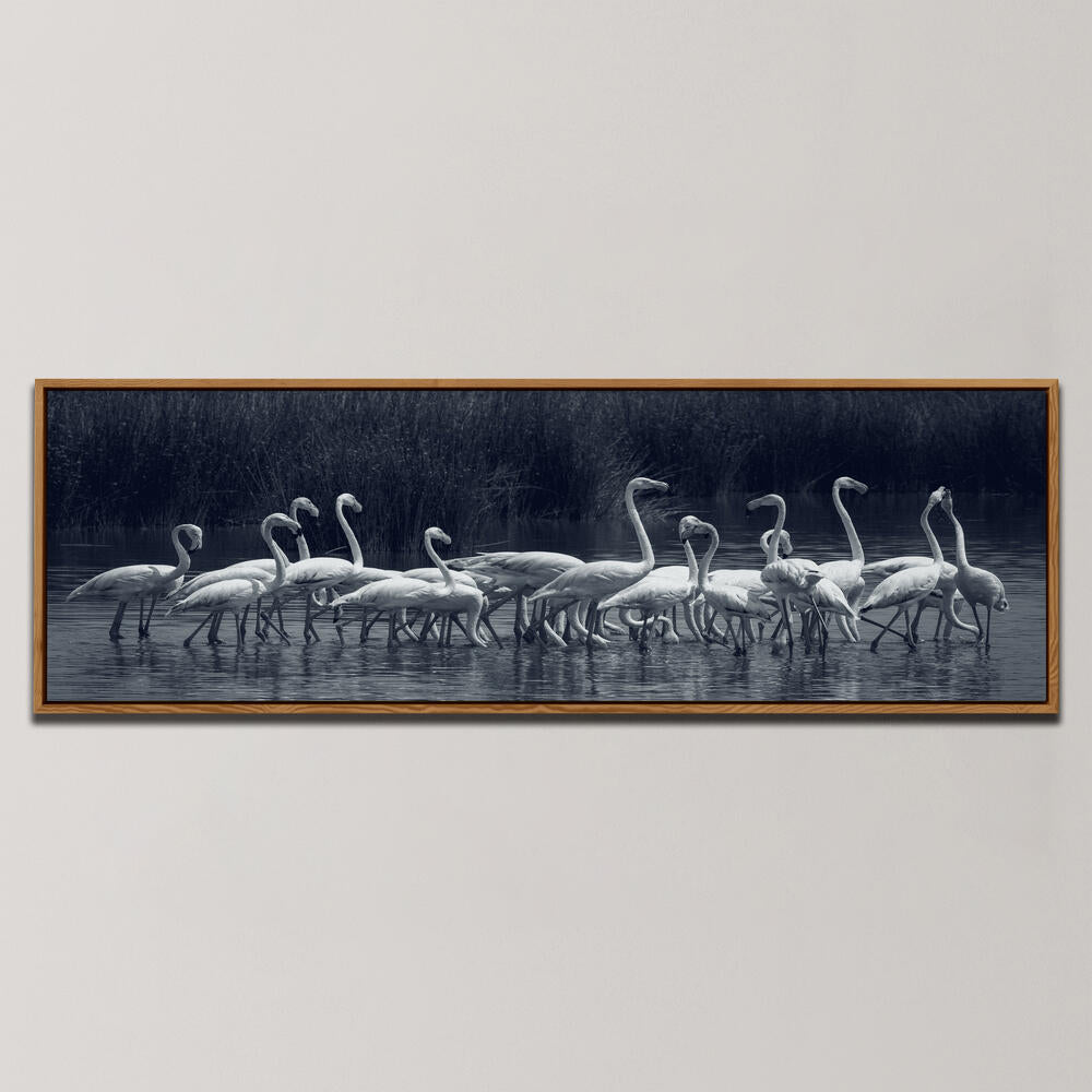 FLAMINGOS , PANORAMIC ART