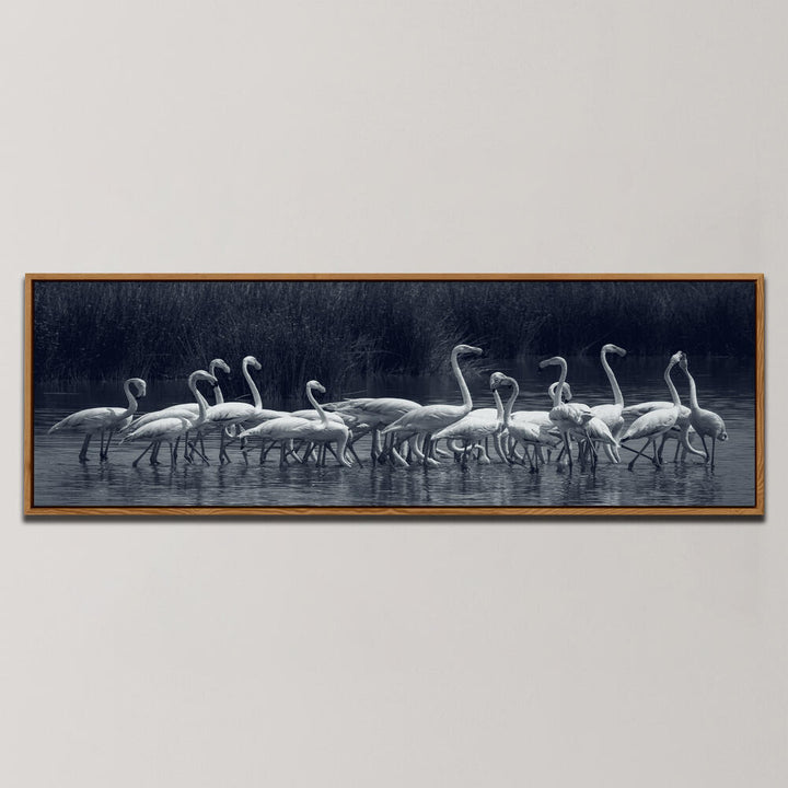 FLAMINGOS , PANORAMIC ART