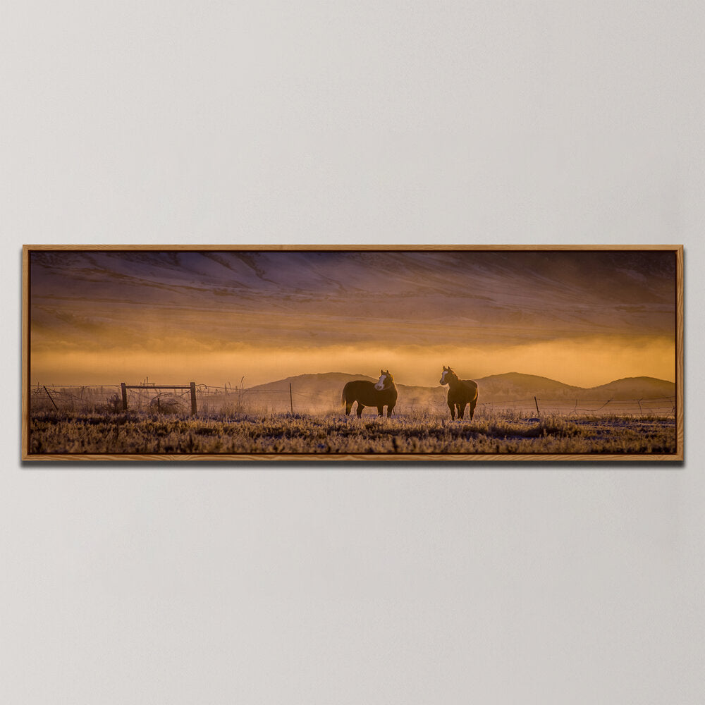 HORSES, MORNING MIST - IDAHO , PANORAMIC ART