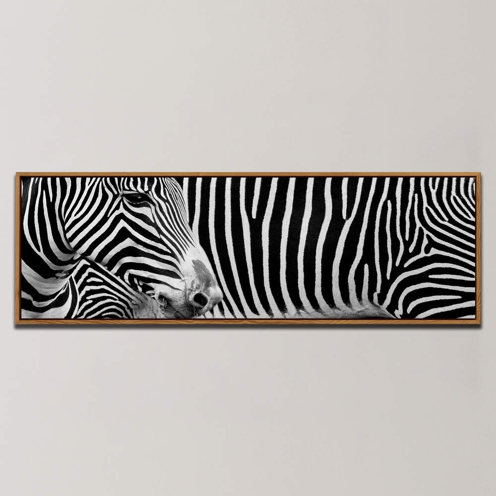 ZEBRA I , PANORAMIC ART