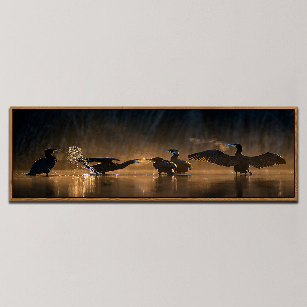 DIE VERSAMMLUNG DER KORMORANE , PANORAMIC ART