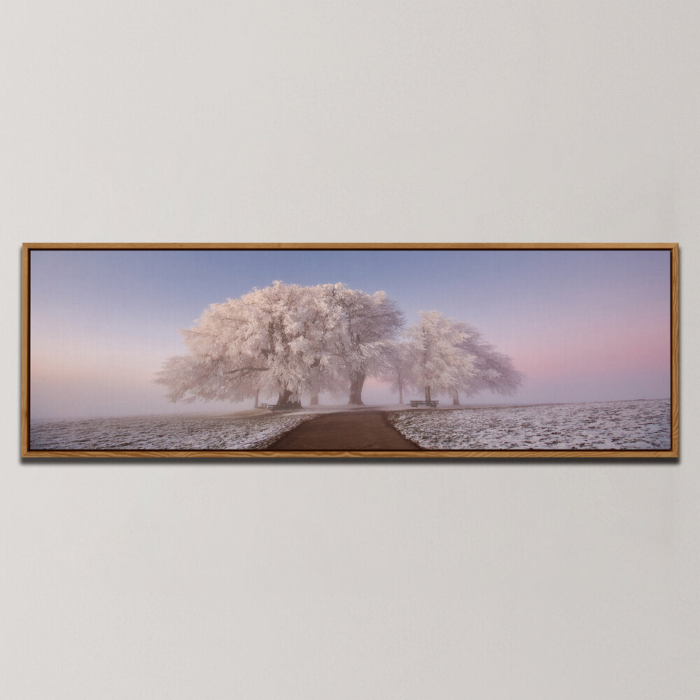 FROZEN INTO FROST , PANORAMIC ART