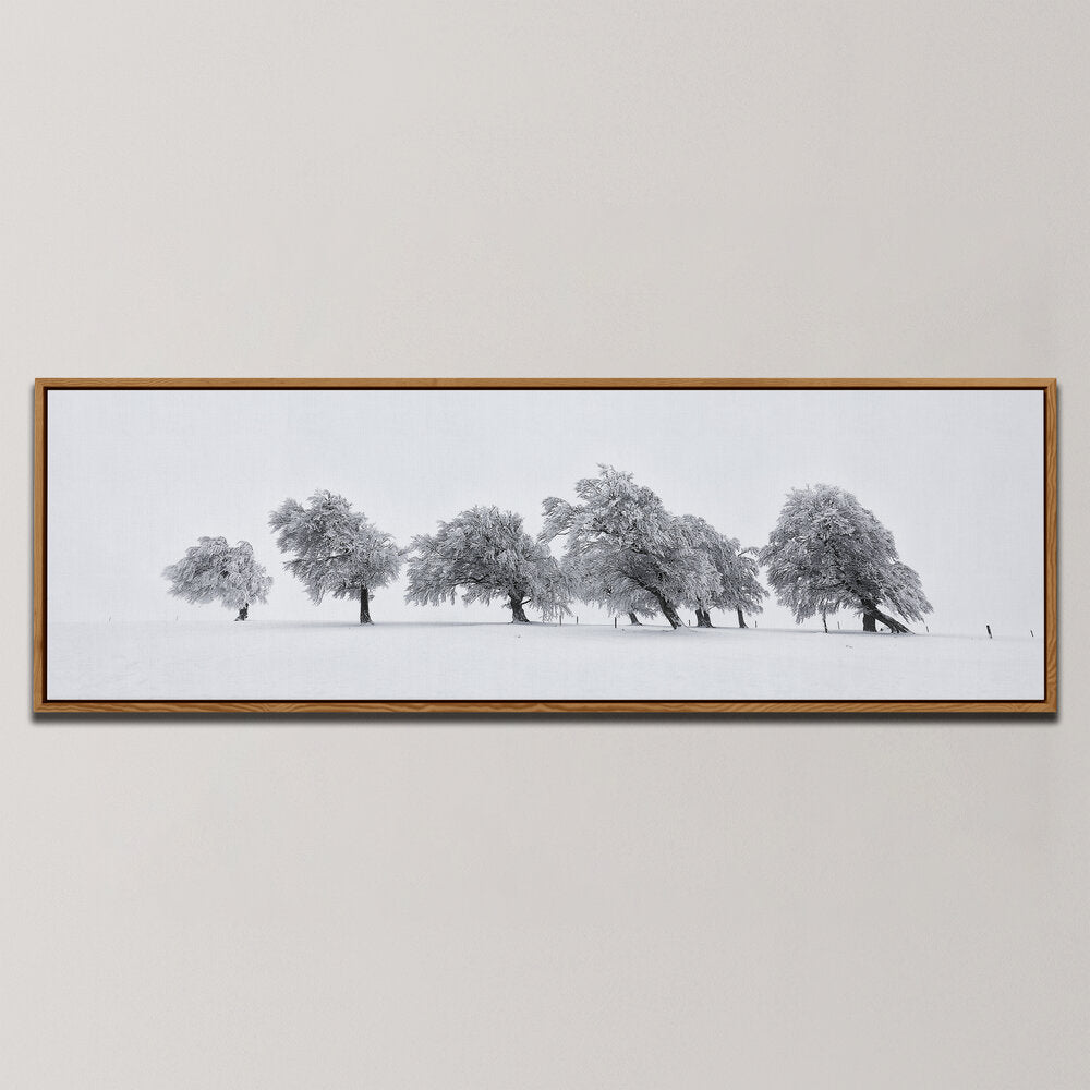 DANCING TREES , PANORAMIC ART