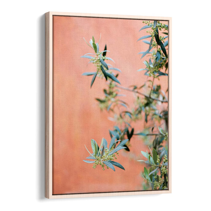 GREEN AND CORAL , PHOTOGRAPHY PRINTS
