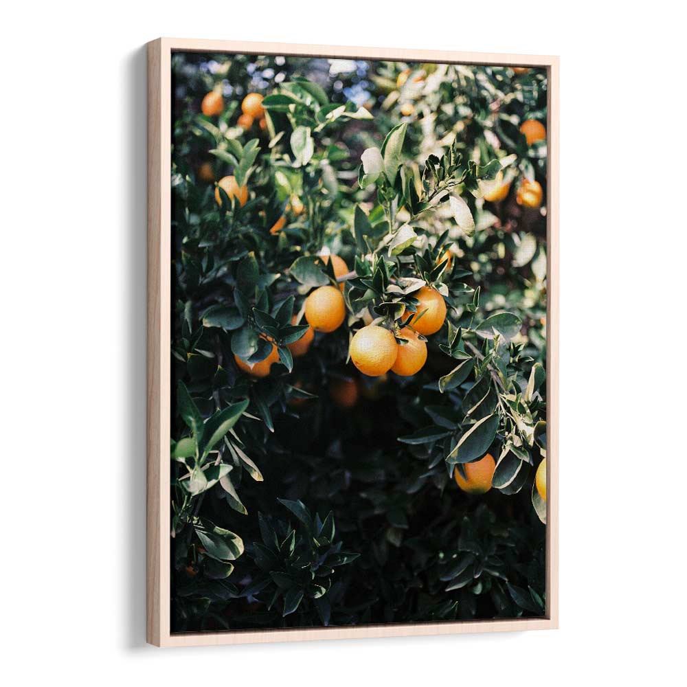 MARRAKESH ORANGES , PHOTOGRAPHY PRINTS
