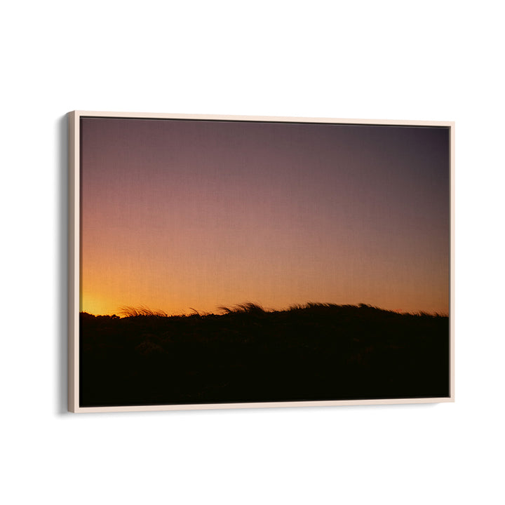 DUNE GRASS SUNSET HORIZONTAL BY RAISA ZWART , LANDSCAPE PHOTO PRINTS