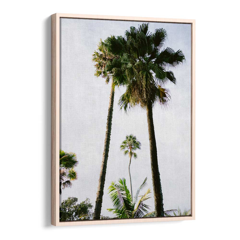 FIND ME UNDER THE PALM TREE , PHOTOGRAPHY PRINTS