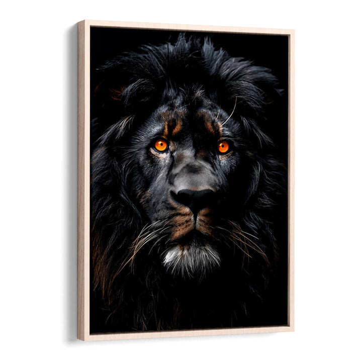 LION BLACK WATERCOLOR ANIMAL ART , WILD LIFE & ANIMAL PAINTINGS