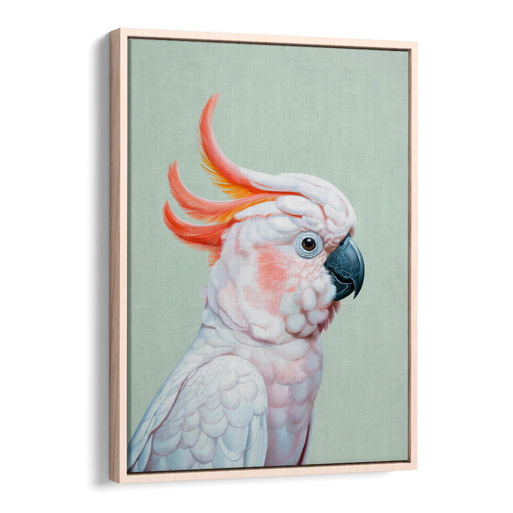 WHITE COCKATOO NO 1