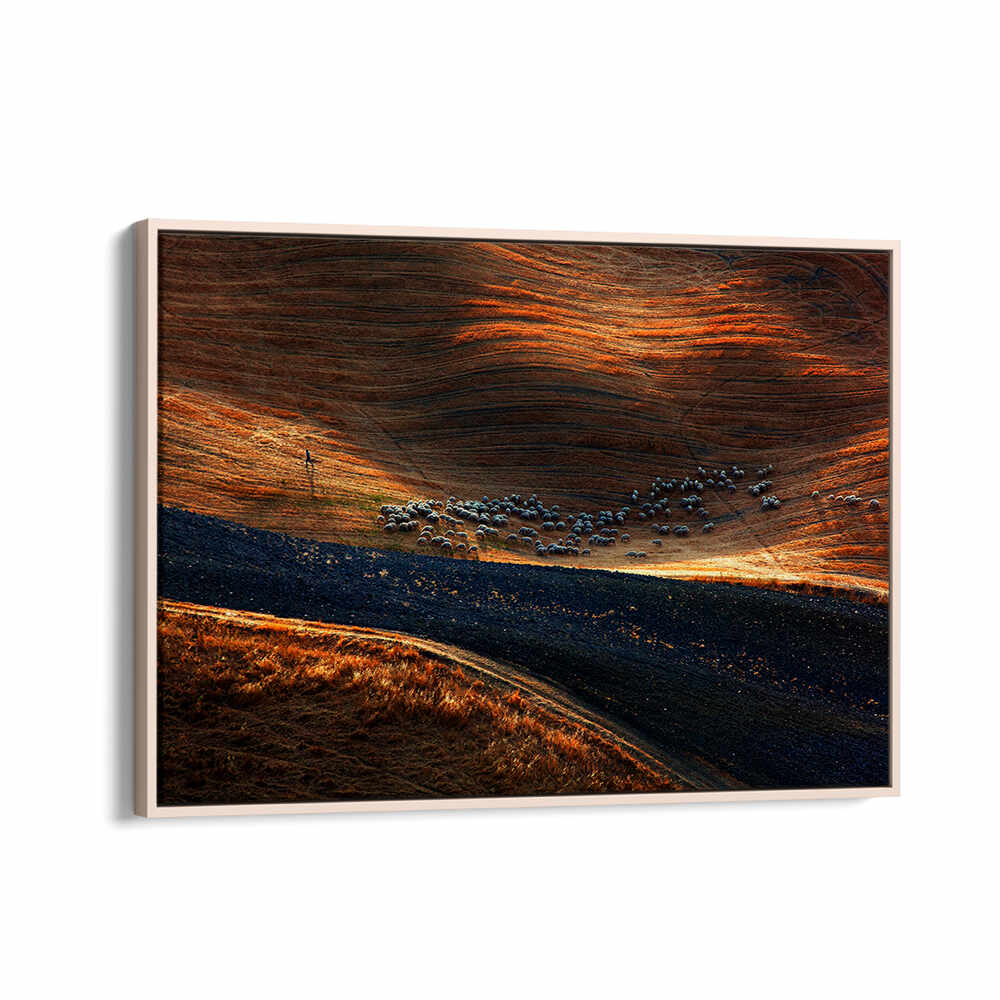 IL GREGGE , PHOTOGRAPHY PRINTS