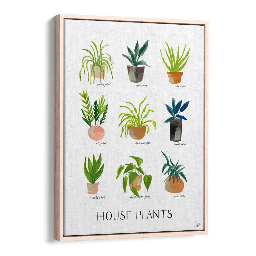 HOUSEPLANTS , FLORAL FLOWER PAINTINGS