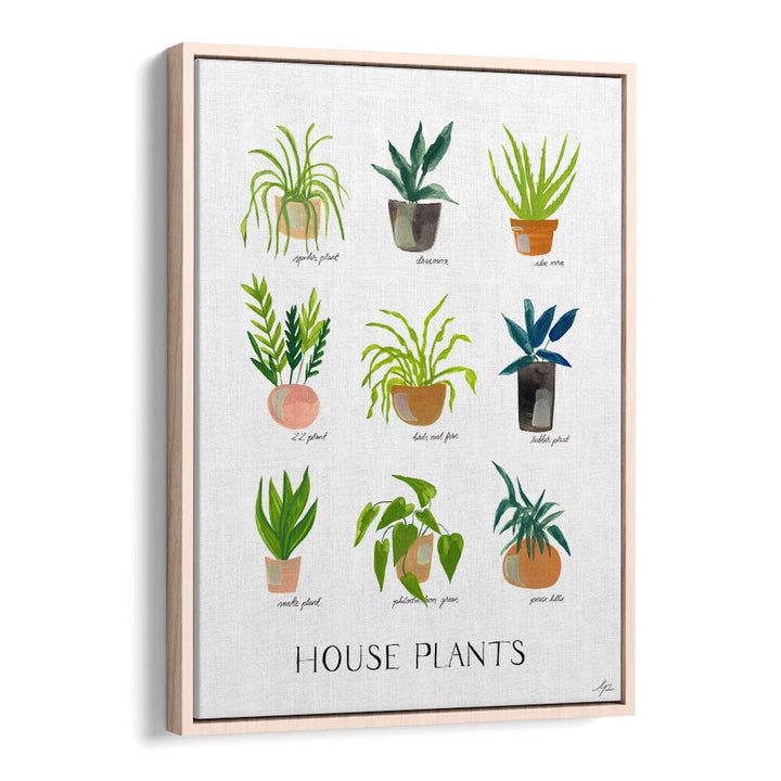 HOUSEPLANTS , FLORAL FLOWER PAINTINGS