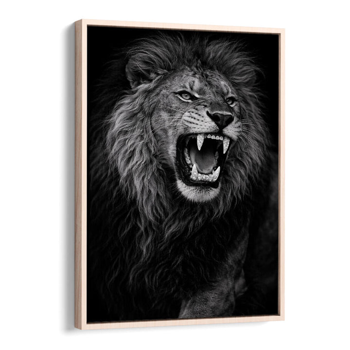 ROARING LION