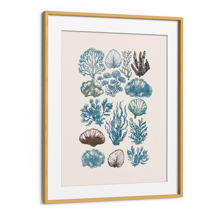 Elegant artwork from A CORAL COLLECTION, BEACH PAINTINGS, showcasing vibrant coral illustrations in a stylish frame.