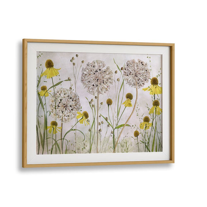Vibrant ALLIUMS AND HELENIUMS, FLORAL FLOWER PAINTINGS showcasing colorful blooms to enhance any space.