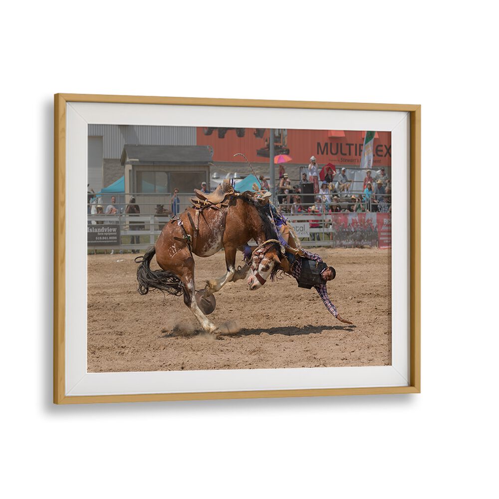 Framed BATTLE, PHOTOGRAPHY PRINTS showcasing a thrilling rodeo moment with dynamic action and raw energy.