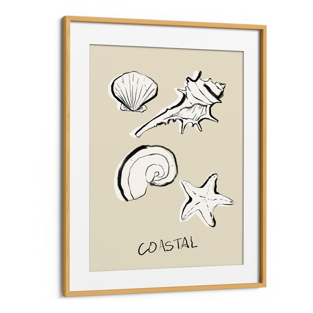 COASTAL SHELLS AND STARFISH