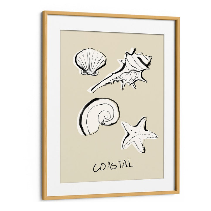 COASTAL SHELLS AND STARFISH