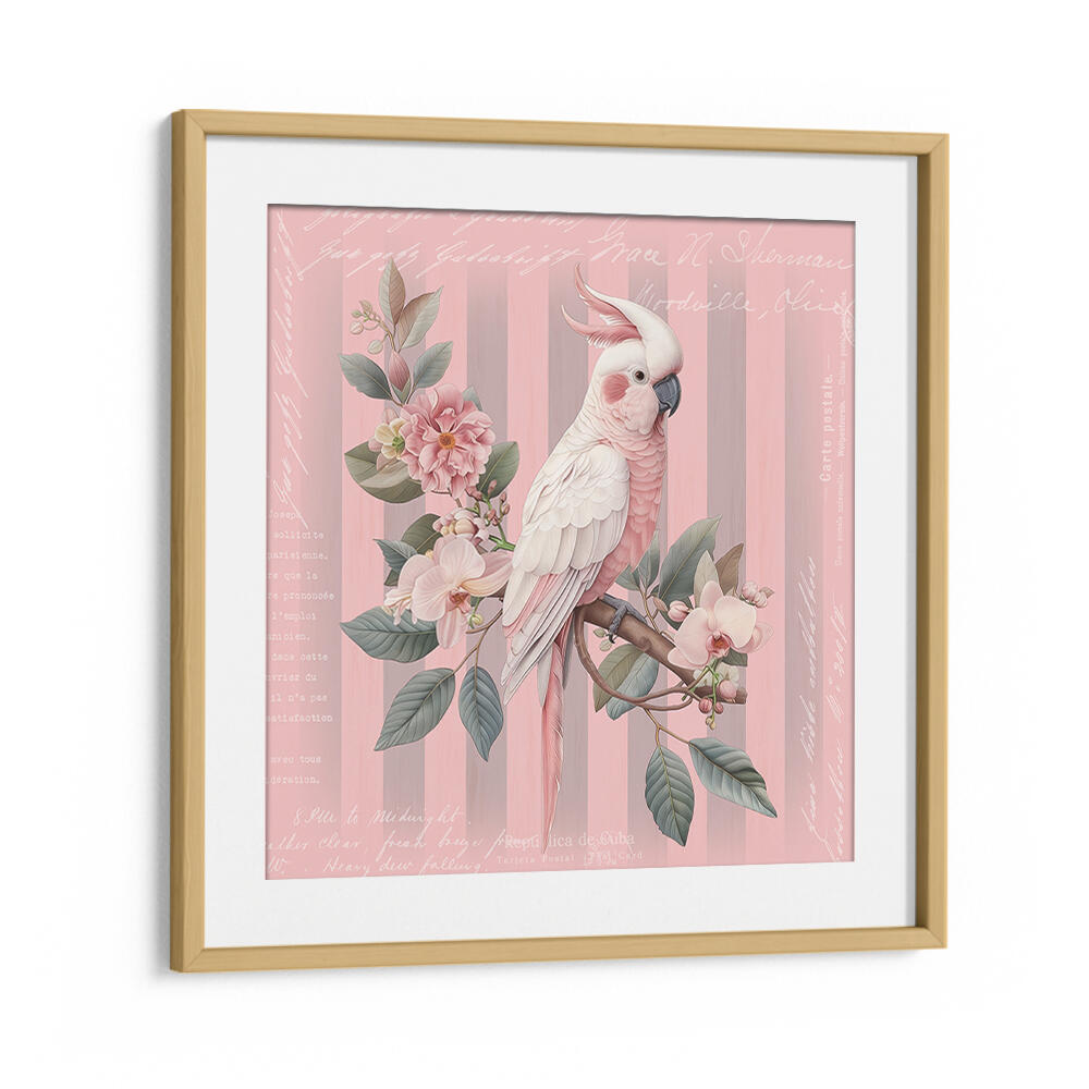 COCKATOO PASTEL PINK , ANIMAL PAINTINGS