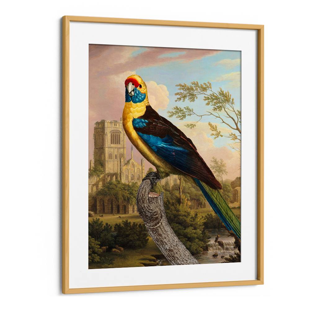 COLORFUL PARROT RUINS