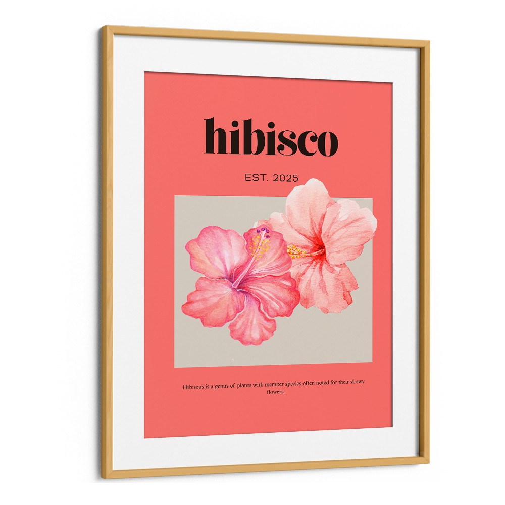 DELICATE PINK HIBISCUS