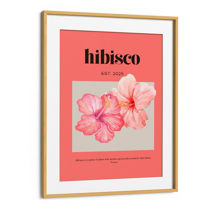 DELICATE PINK HIBISCUS