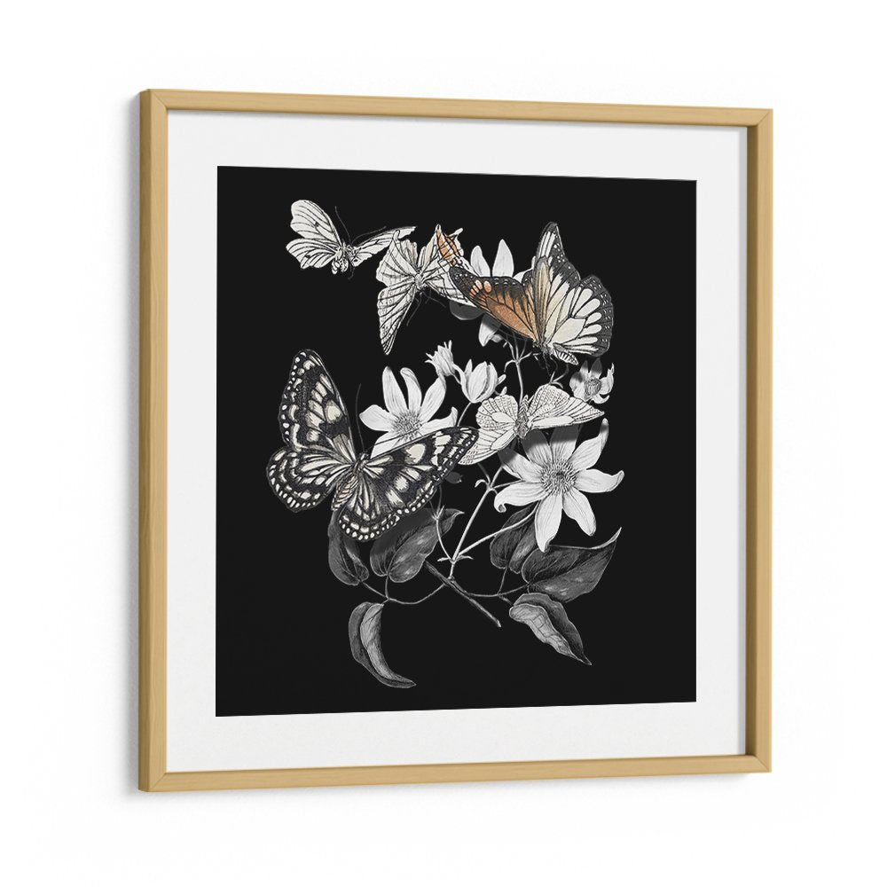 ELEGANT BOTANICAL BUTTERFLIES