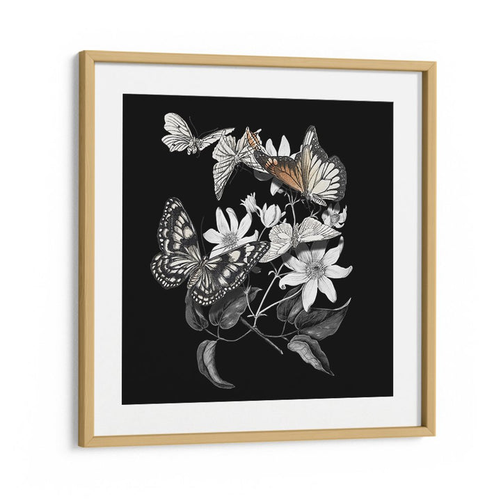 ELEGANT BOTANICAL BUTTERFLIES