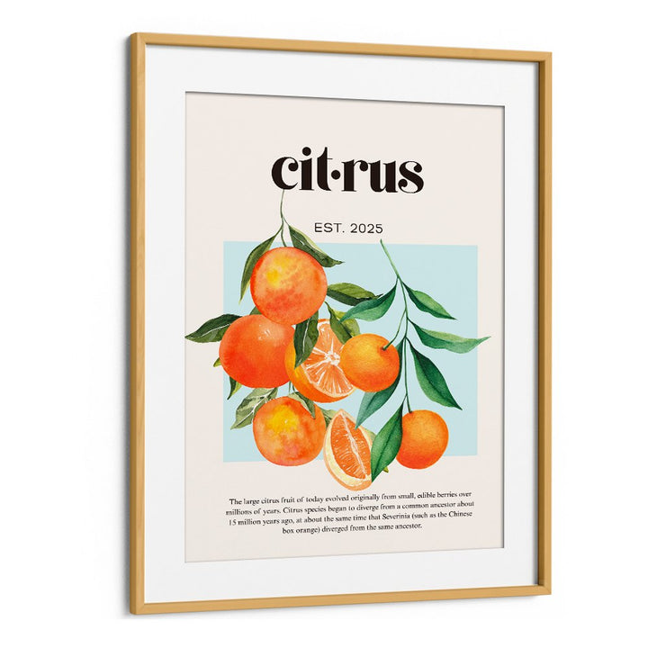 FRESH WATERCOLOR CITRUS